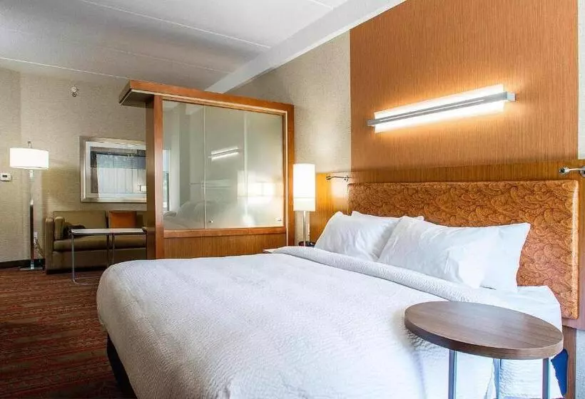 キングサイズベッドのスイートルーム, Springhill Suites By Marriott Deadwood
