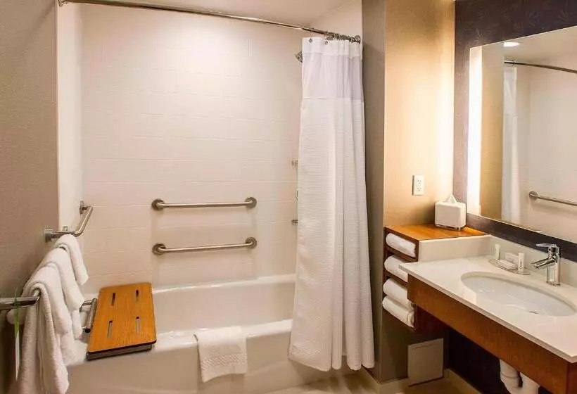 スイート, Springhill Suites By Marriott Deadwood