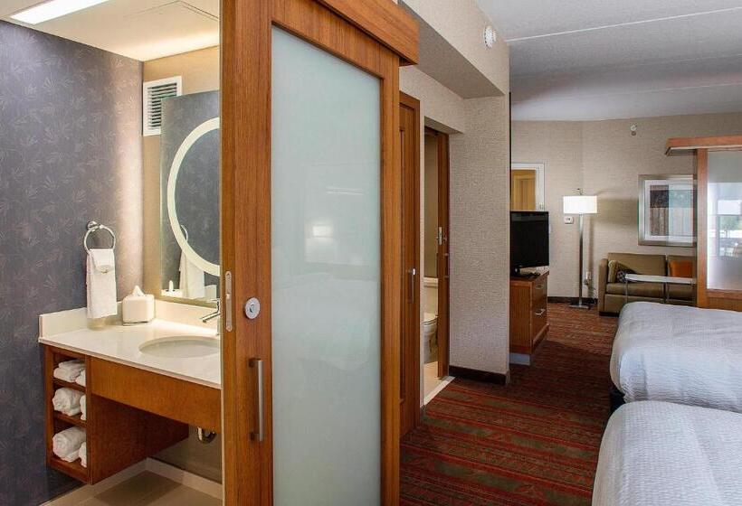 套房, Springhill Suites By Marriott Deadwood