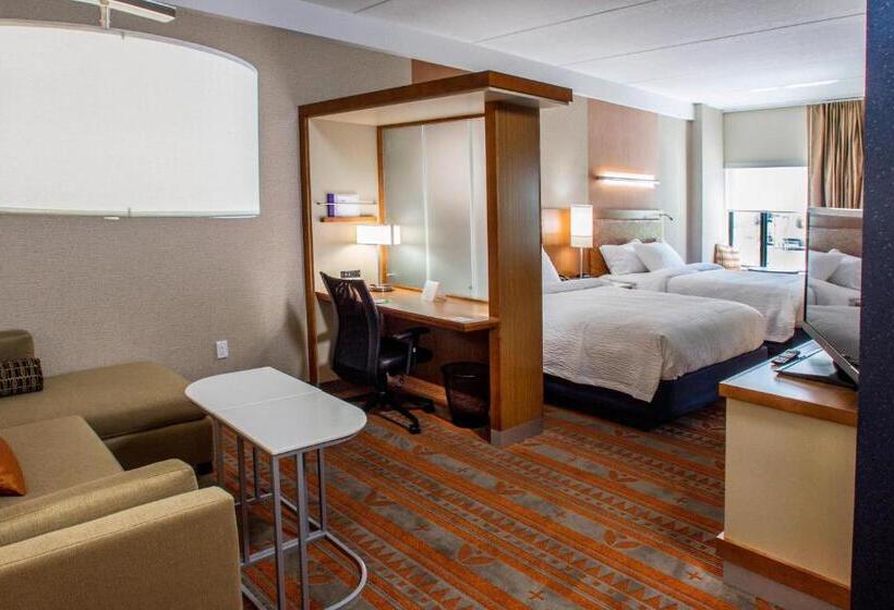 套房, Springhill Suites By Marriott Deadwood