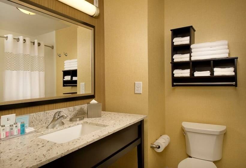 اتاق استاندارد با تخت بزرگ, Hampton Inn & Suites Washington Dc North/gaithersburg