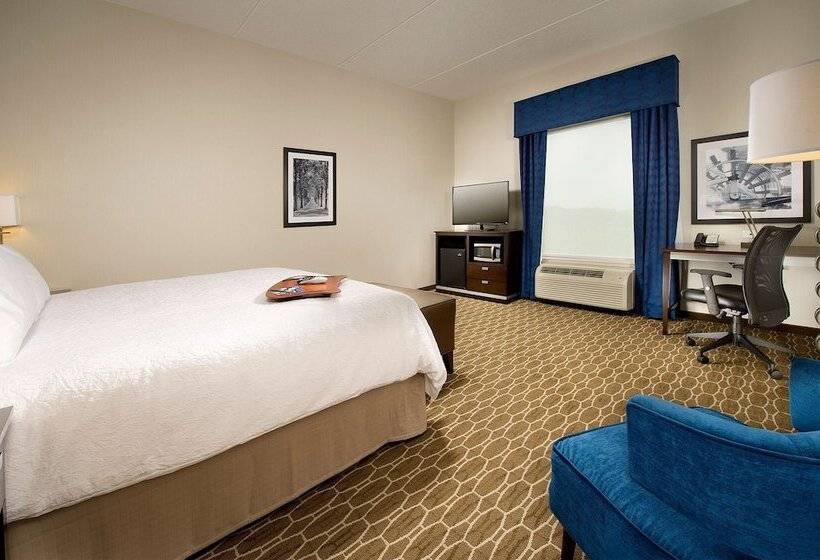 غرفة قياسية سرير كينج, Hampton Inn & Suites Washington Dc North/gaithersburg