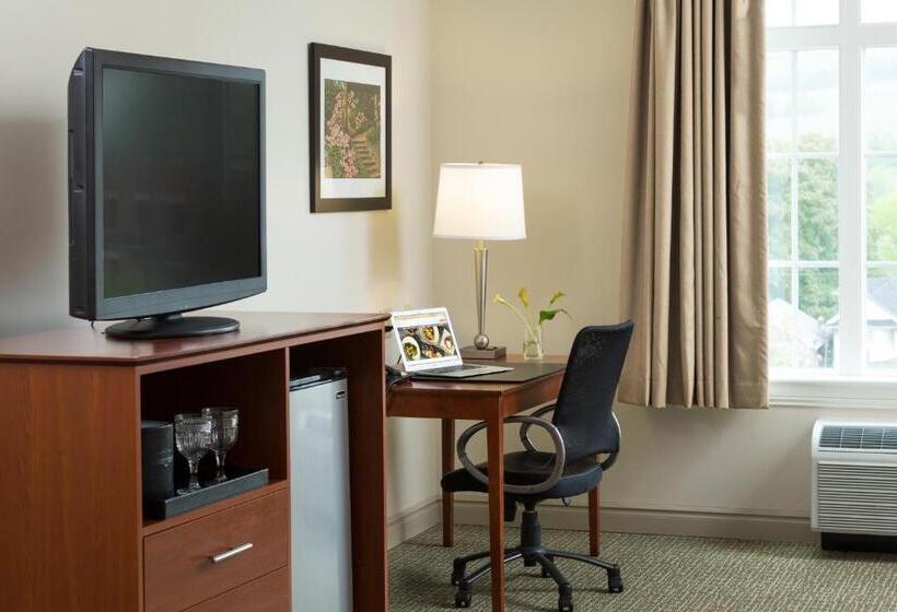 Номер Deluxe, Anthracite