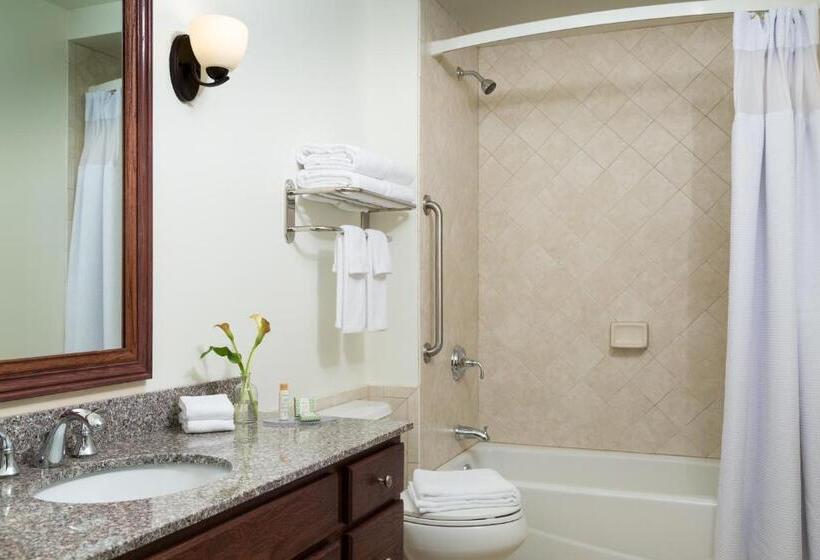 Люкс, Anthracite