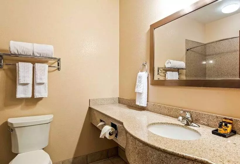 Sviitti, Best Western Plus Seminole Hotel & Suites