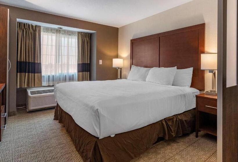 غرفة قياسية, Comfort Inn & Suites