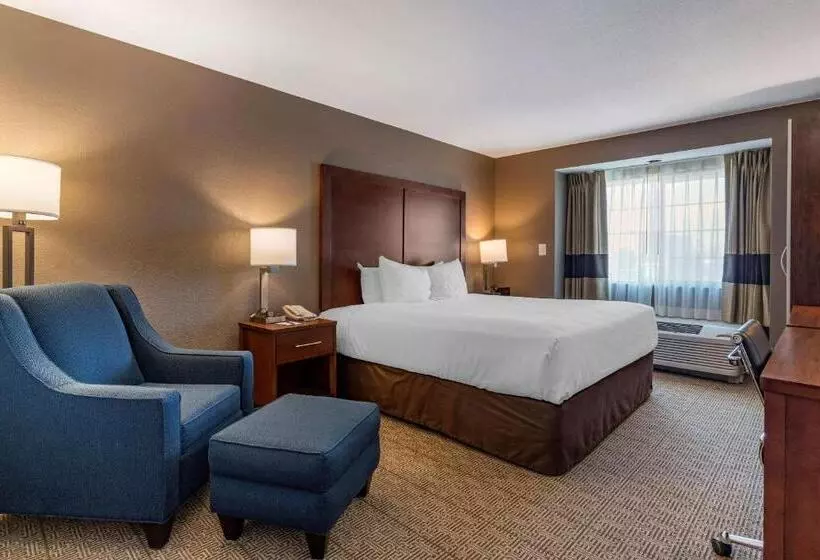 スタンダードルーム, Comfort Inn & Suites