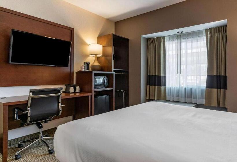 غرفة قياسية, Comfort Inn & Suites