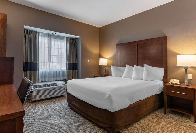 غرفة قياسية, Comfort Inn & Suites