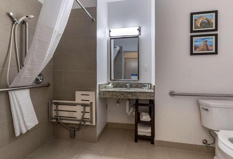غرفة قياسية سرير كينج لذوى الإحتياجات الخاصة, Comfort Inn & Suites