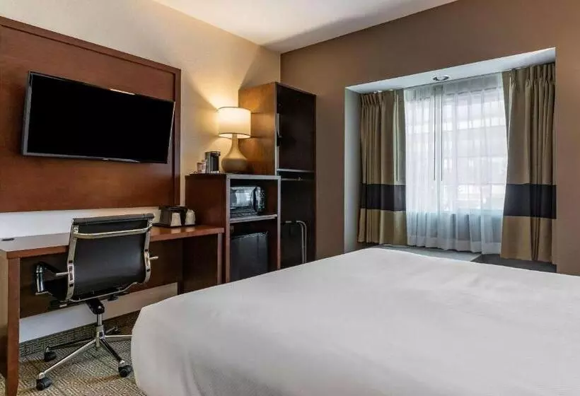 身障者適用キングサイズベッドルーム, Comfort Inn & Suites