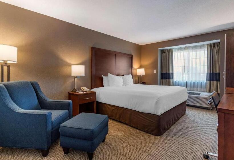 جناح لذوى الاحتياجات الخاصة, Comfort Inn & Suites