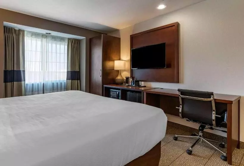 キングサイズベッドのスタンダードルーム, Comfort Inn & Suites