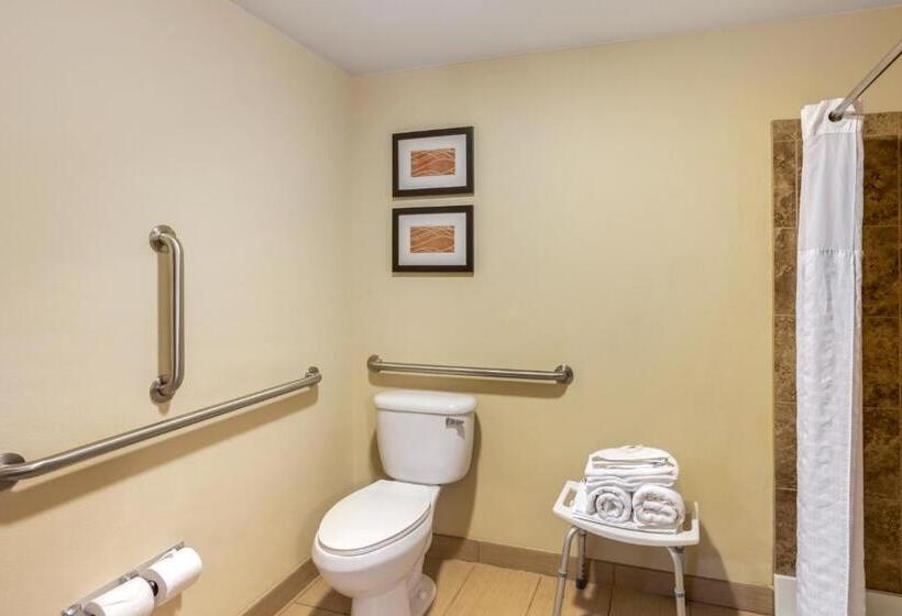 带大床的标准间, Comfort Inn & Suites Sayre