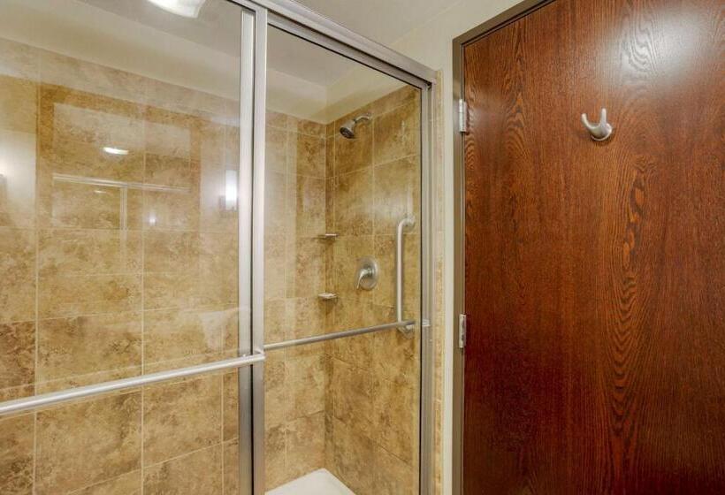 带大床的标准间, Comfort Inn & Suites Sayre