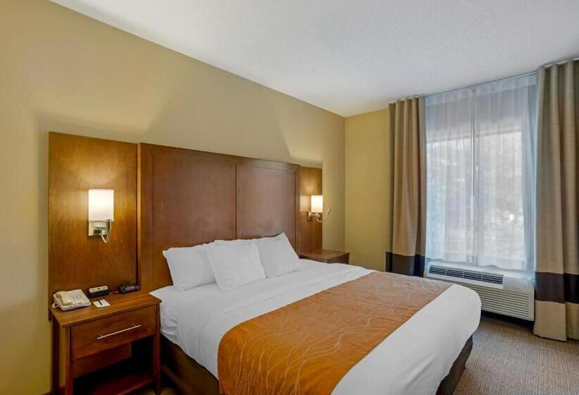 带大床的套房, Comfort Inn & Suites Sayre