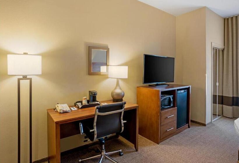 带大床的套房, Comfort Inn & Suites Sayre