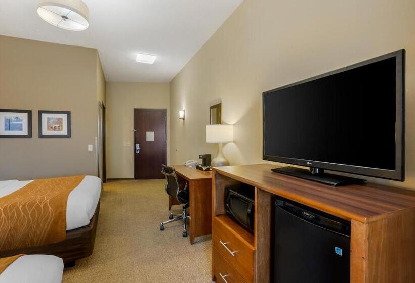 标准间, Comfort Inn & Suites Sayre