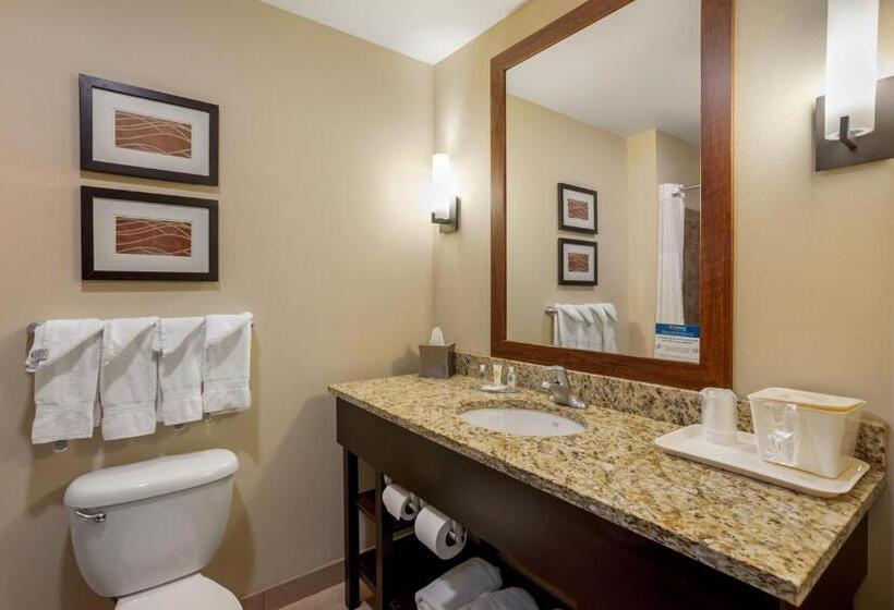 スタンダードルーム, Comfort Inn & Suites Sayre