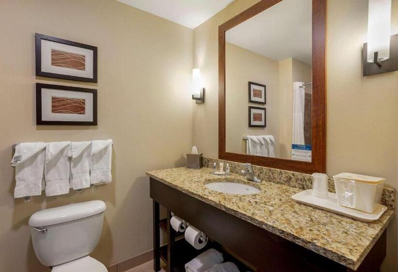 标准间, Comfort Inn & Suites Sayre