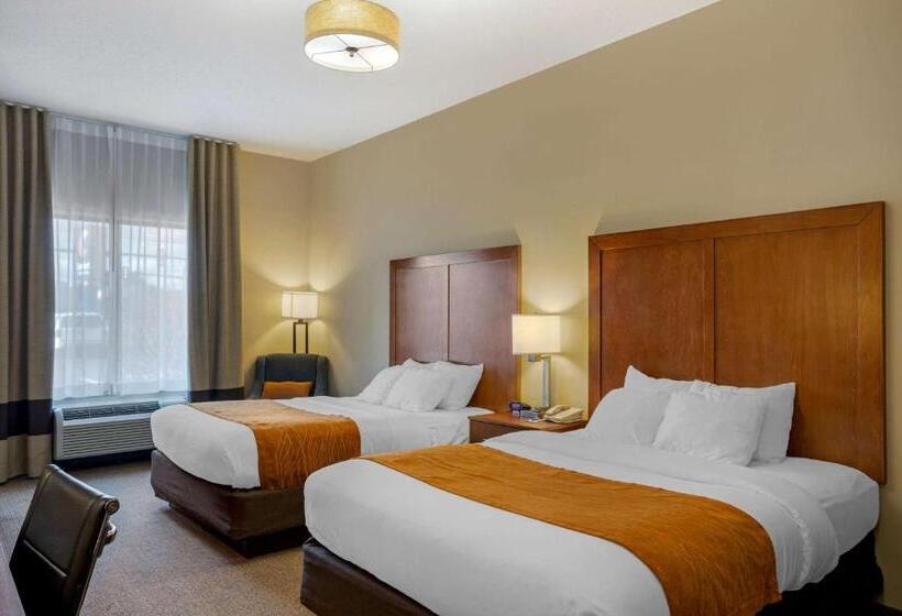 套房, Comfort Inn & Suites Sayre