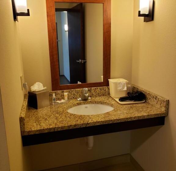 身障者適用スイートルーム, Comfort Inn & Suites Sayre