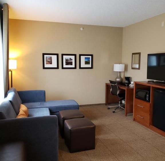 适合残疾人士使用的套间, Comfort Inn & Suites Sayre