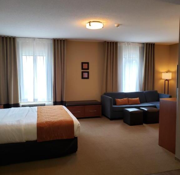 适合残疾人士使用的套间, Comfort Inn & Suites Sayre