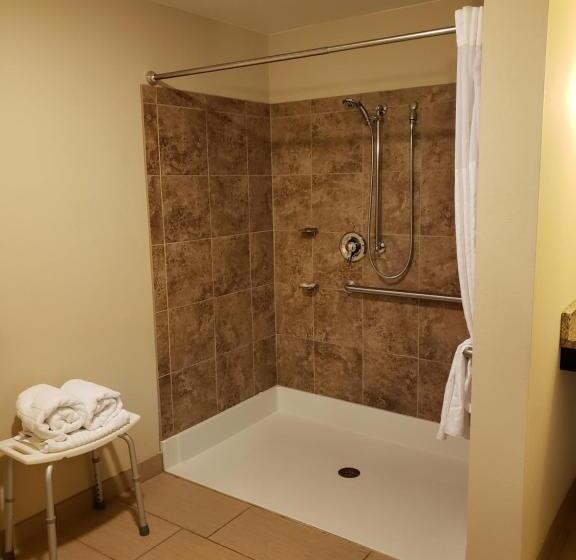 适合残疾人士使用的套间, Comfort Inn & Suites Sayre