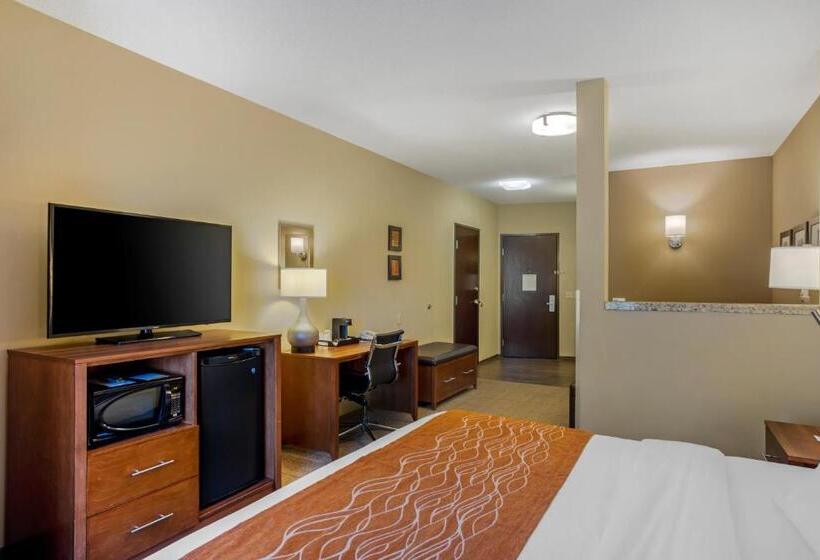 身障者適用スイートルーム, Comfort Inn & Suites Sayre