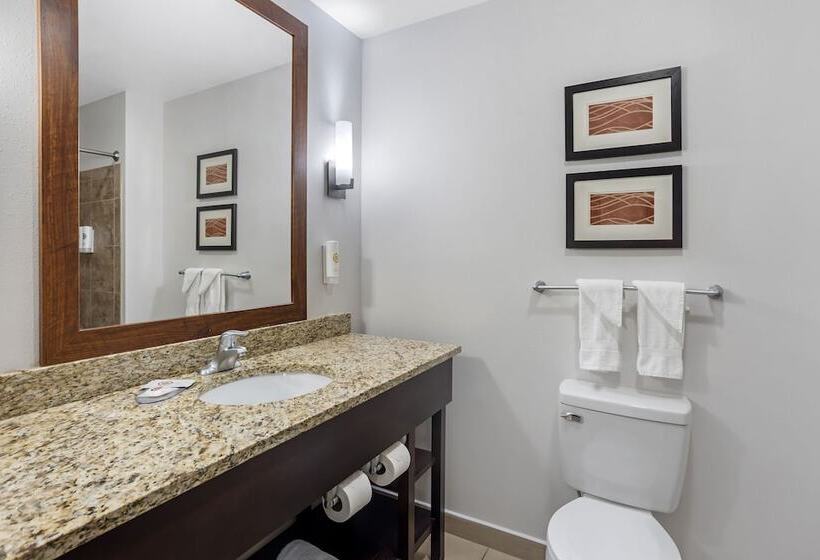 套房, Comfort Inn & Suites Sayre