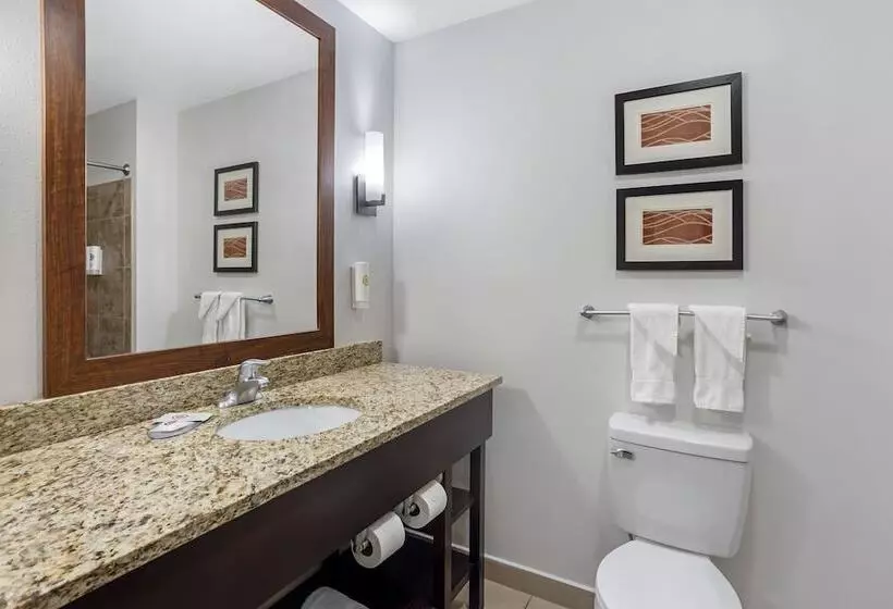 Sviitti, Comfort Inn & Suites Sayre