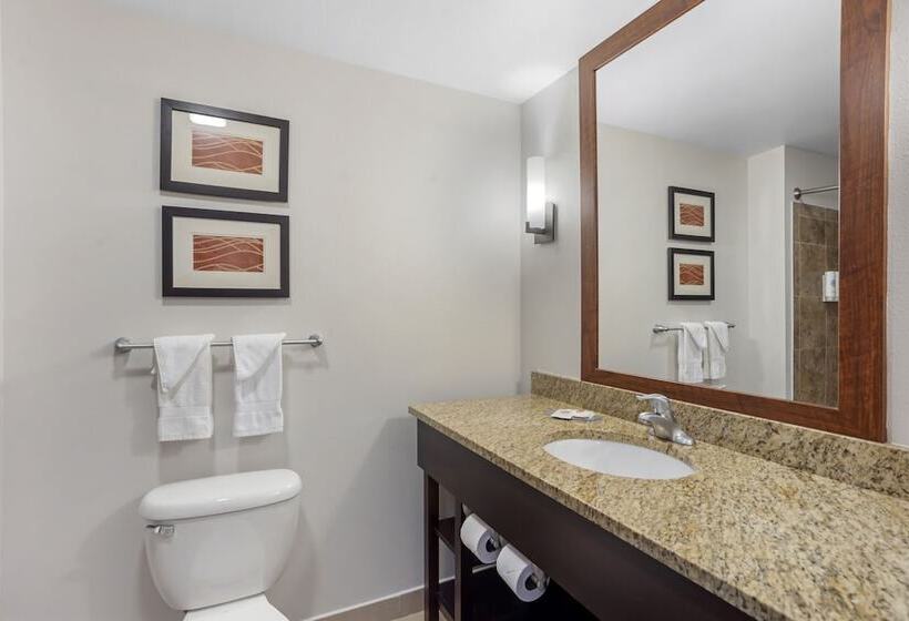スイート, Comfort Inn & Suites Sayre