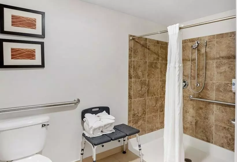 Sviitti Liikuntarajoitteisille, Comfort Inn & Suites Sayre