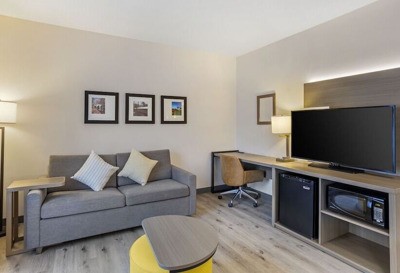 适合残疾人士使用的套间, Comfort Inn & Suites Sayre