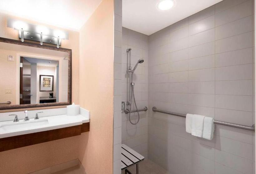 غرفة قياسية سرير كينج لذوى الإحتياجات الخاصة, Denver Marriott Westminster