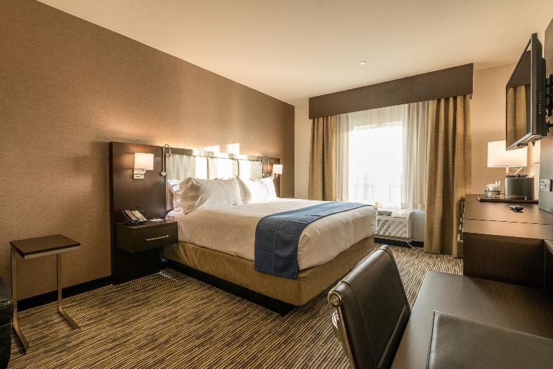 Standaardkamer met Kingsize Bed, Holiday Inn Austin Airport, An Ihg