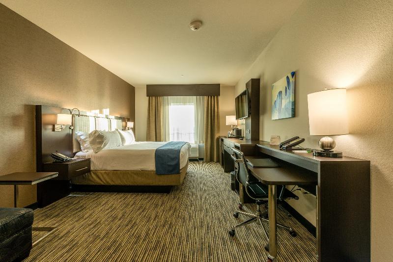 Standaardkamer met Kingsize Bed, Holiday Inn Austin Airport, An Ihg