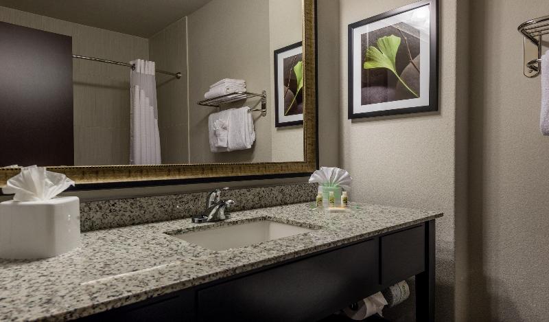 StandaardKamer, Holiday Inn Austin Airport, An Ihg