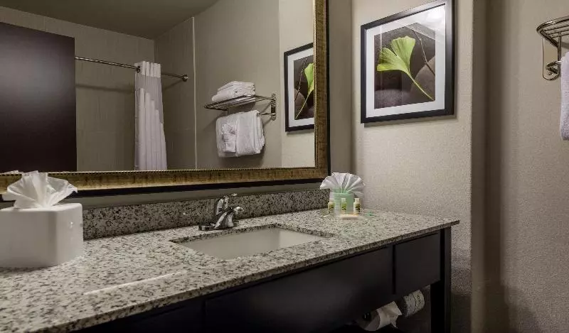 スタンダードルーム, Holiday Inn Austin Airport, An Ihg