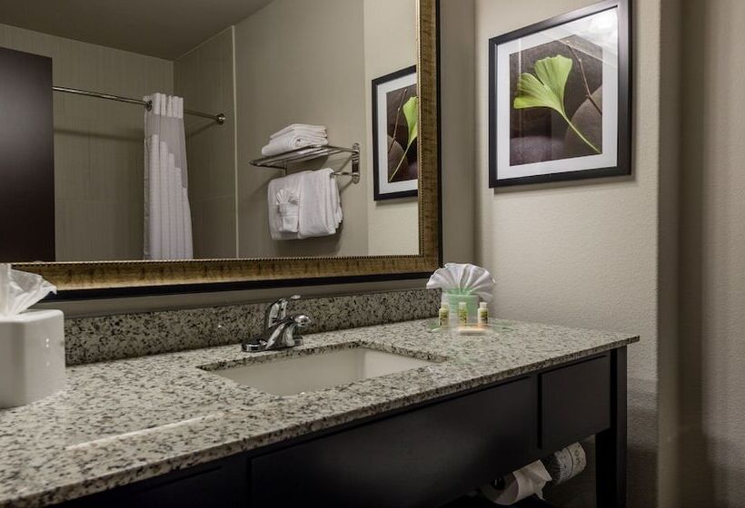 Suite, Holiday Inn Austin Airport, An Ihg