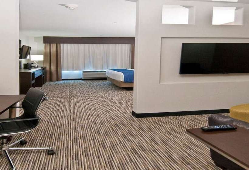 Suite, Holiday Inn Austin Airport, An Ihg