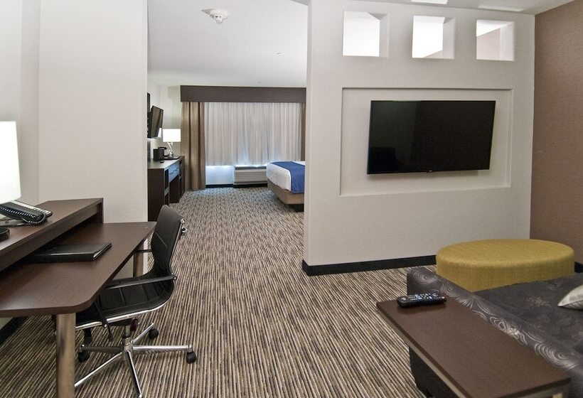 Suite, Holiday Inn Austin Airport, An Ihg