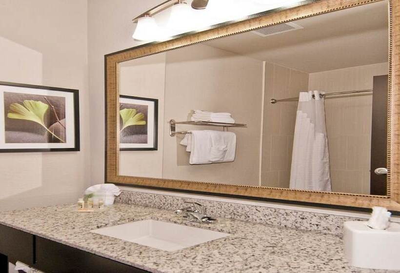 StandaardKamer, Holiday Inn Austin Airport, An Ihg