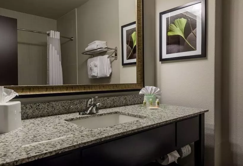 身障者適用スイートルーム, Holiday Inn Austin Airport, An Ihg