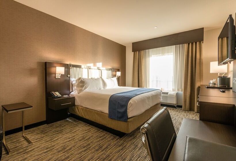 Suite Aangepast voor Gehandicapten, Holiday Inn Austin Airport, An Ihg