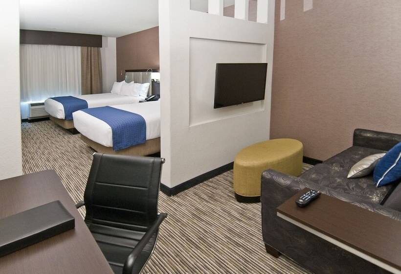 Suite Aangepast voor Gehandicapten, Holiday Inn Austin Airport, An Ihg
