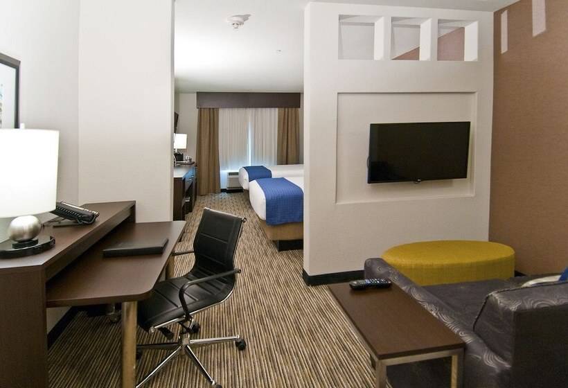 Suite Aangepast voor Gehandicapten, Holiday Inn Austin Airport, An Ihg