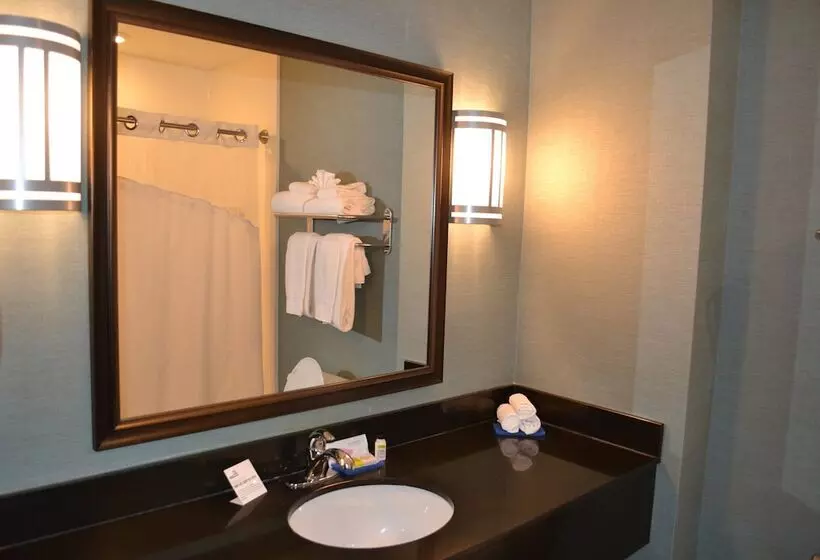 スイート, Holiday Inn Express Selinsgrove, An Ihg