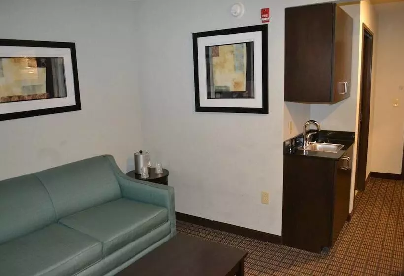 スイート, Holiday Inn Express Selinsgrove, An Ihg